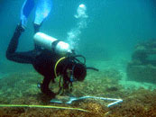 Diver performing measurments Diver performing measurments
