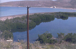 Mangrove Enfermería en 1982 Mangrove Enfermería en 1982