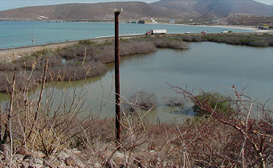 Mangrove Enfermería en 2002 Mangrove Enfermería en 2002
