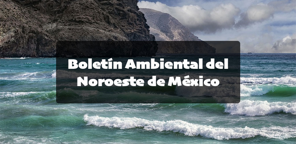 boletin bann