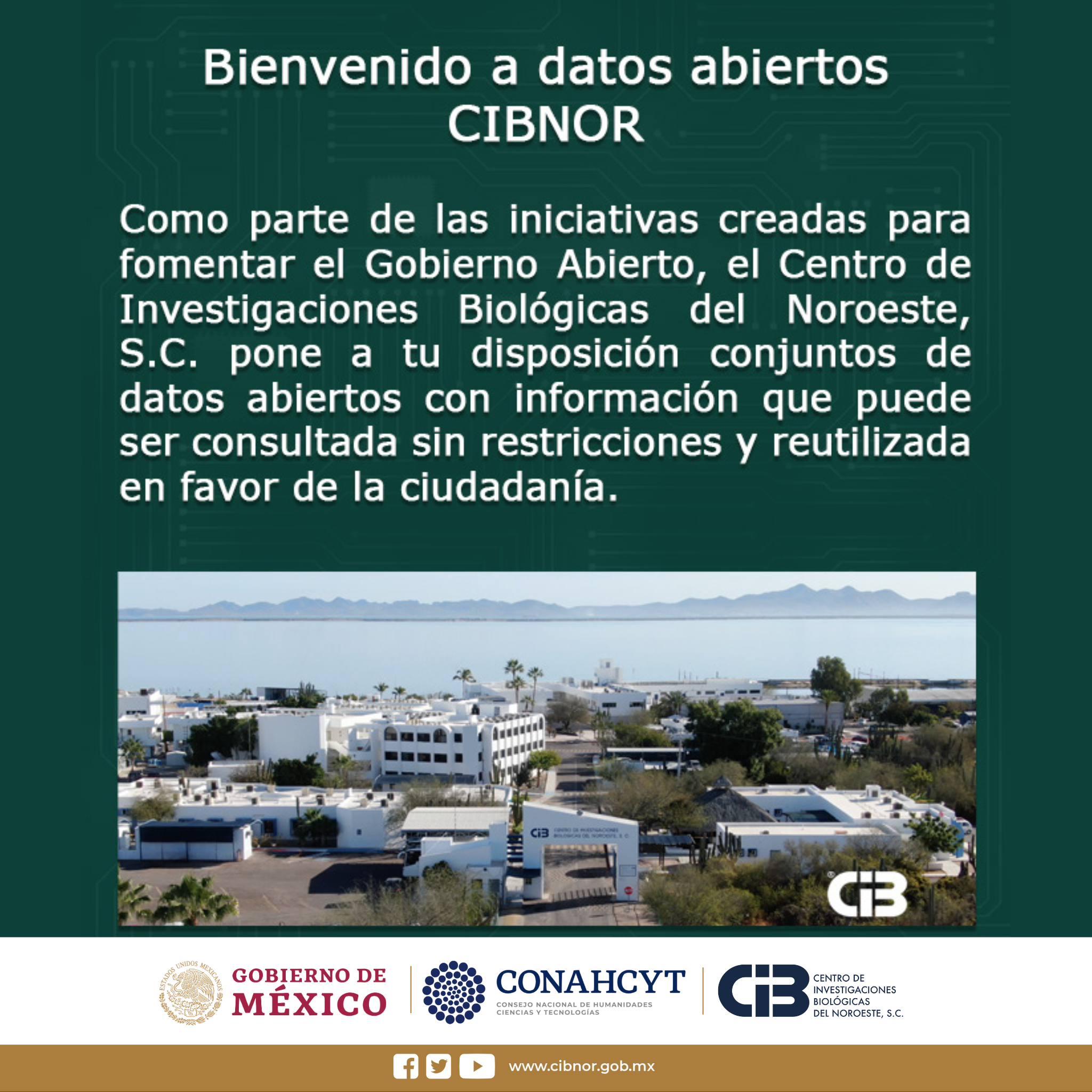 Datos abiertos cibnor