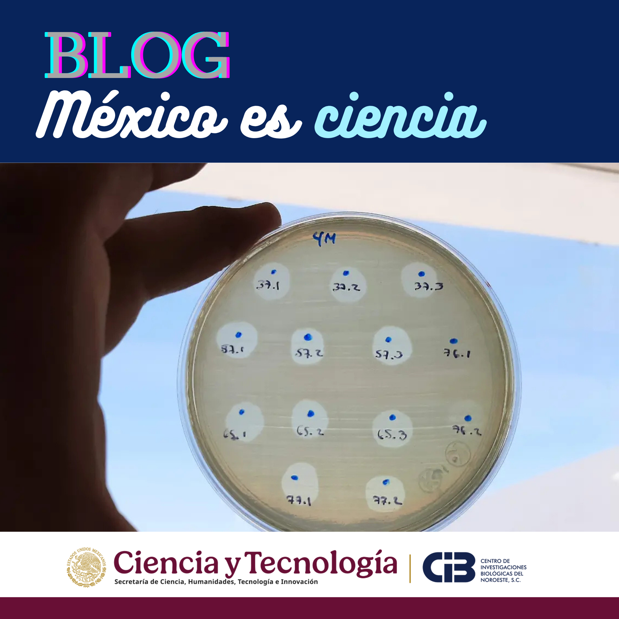 Blog Mexico es ciencia 2