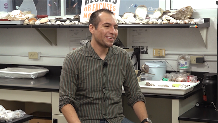  Efecto Allee o depensación