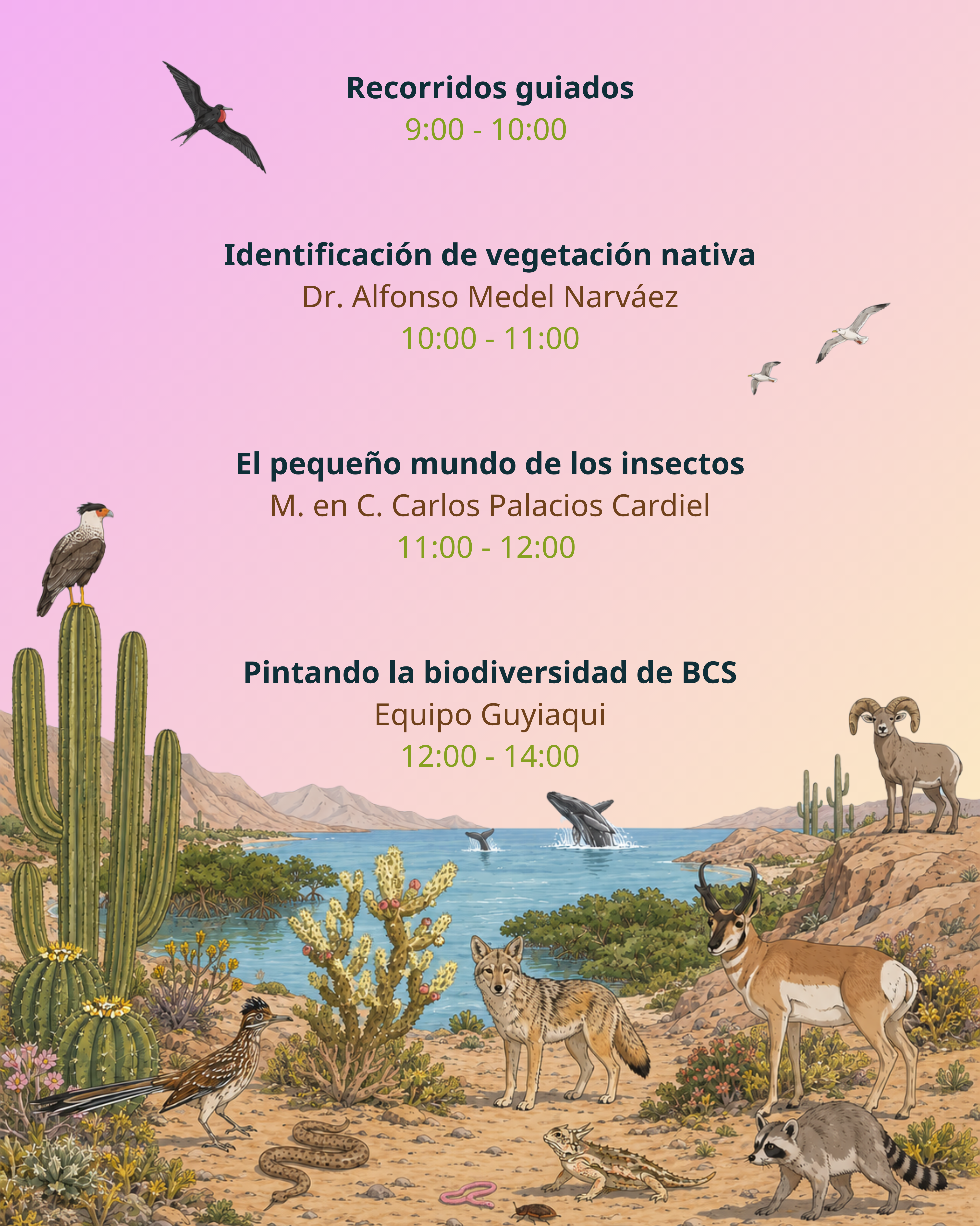 Puertas abiertas mayo2