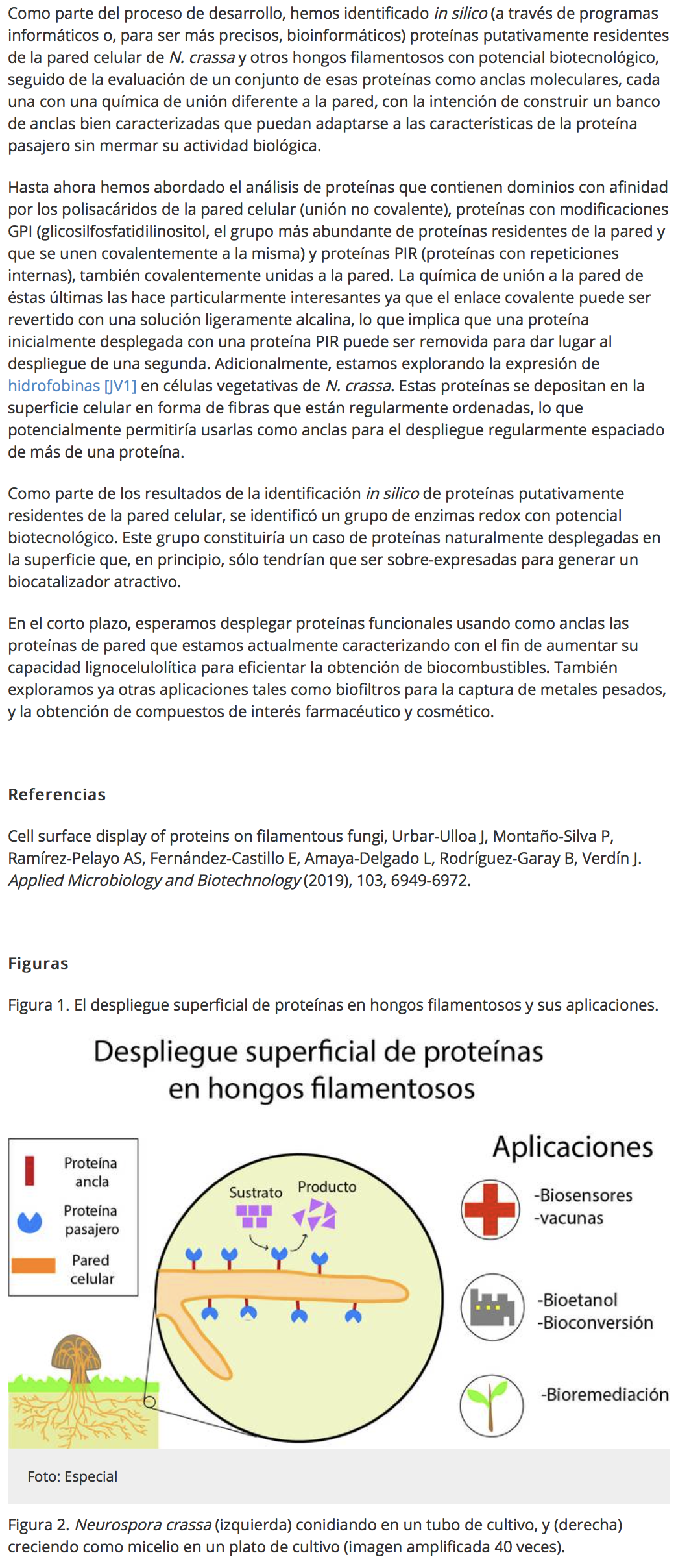 Captura de pantalla 2019 09 27 a las 11.07.53
