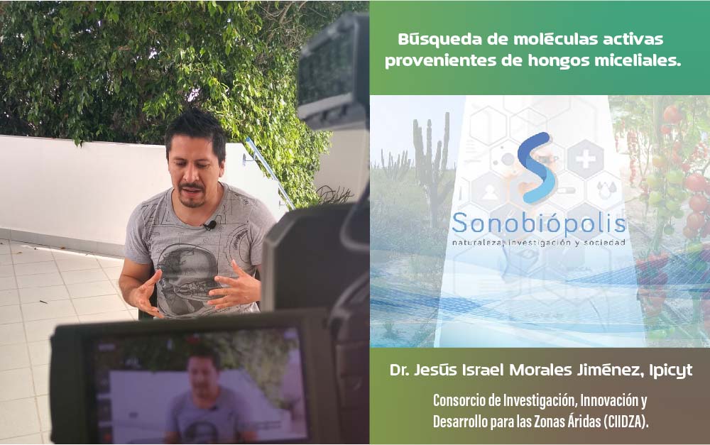 sonobiopolis21nov2019