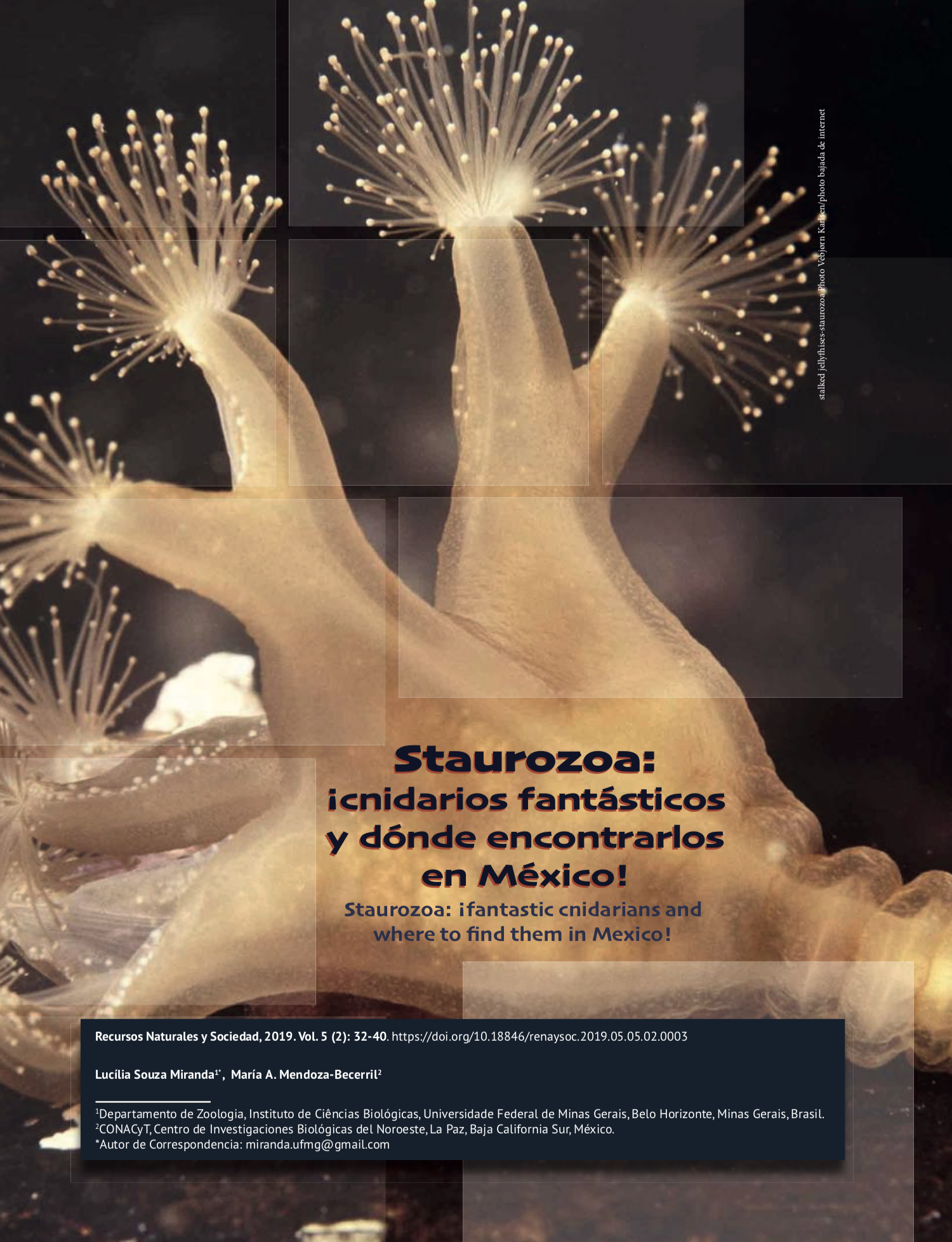Captura de pantalla 2020 01 21 a las 09.57.32