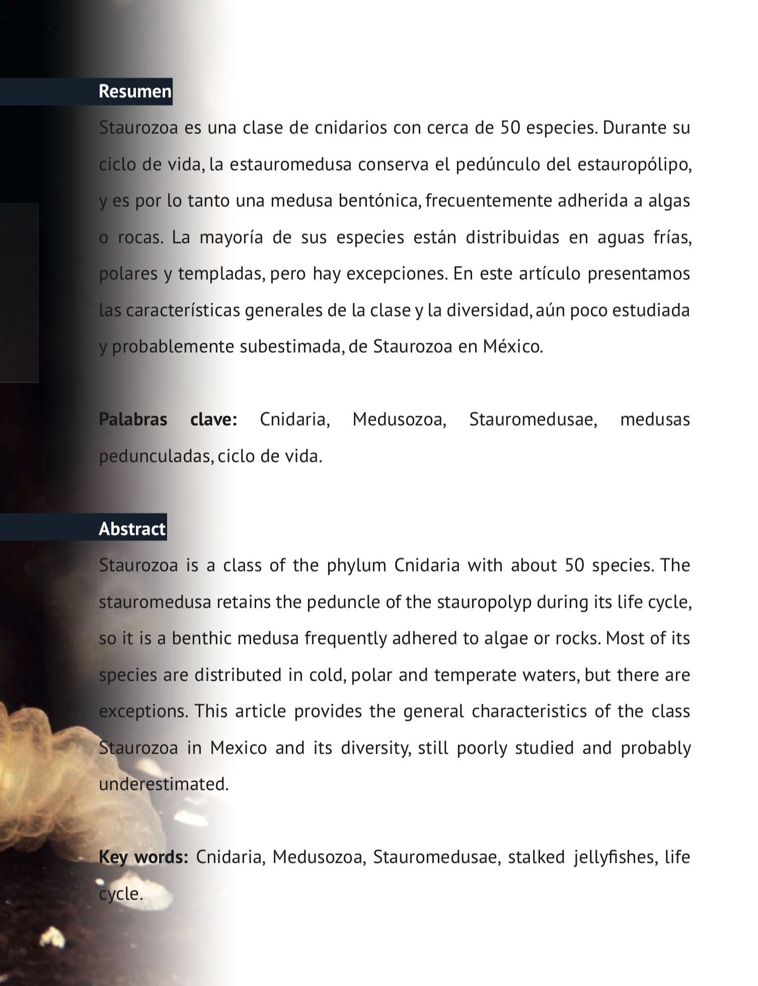 Captura de pantalla 2020 01 21 a las 09.57.44