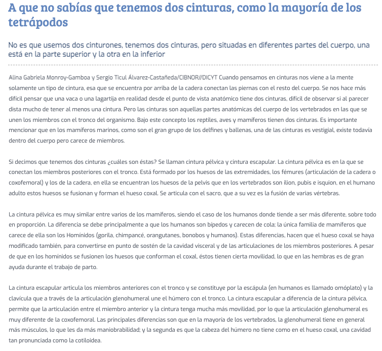 Captura de Pantalla 2022 01 28 a las 14.01.46