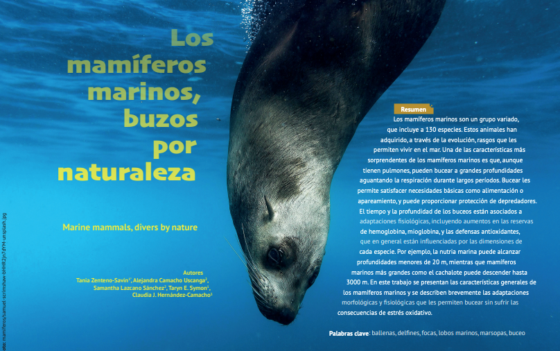 Captura de Pantalla 2022 11 04 a las 14.37.57