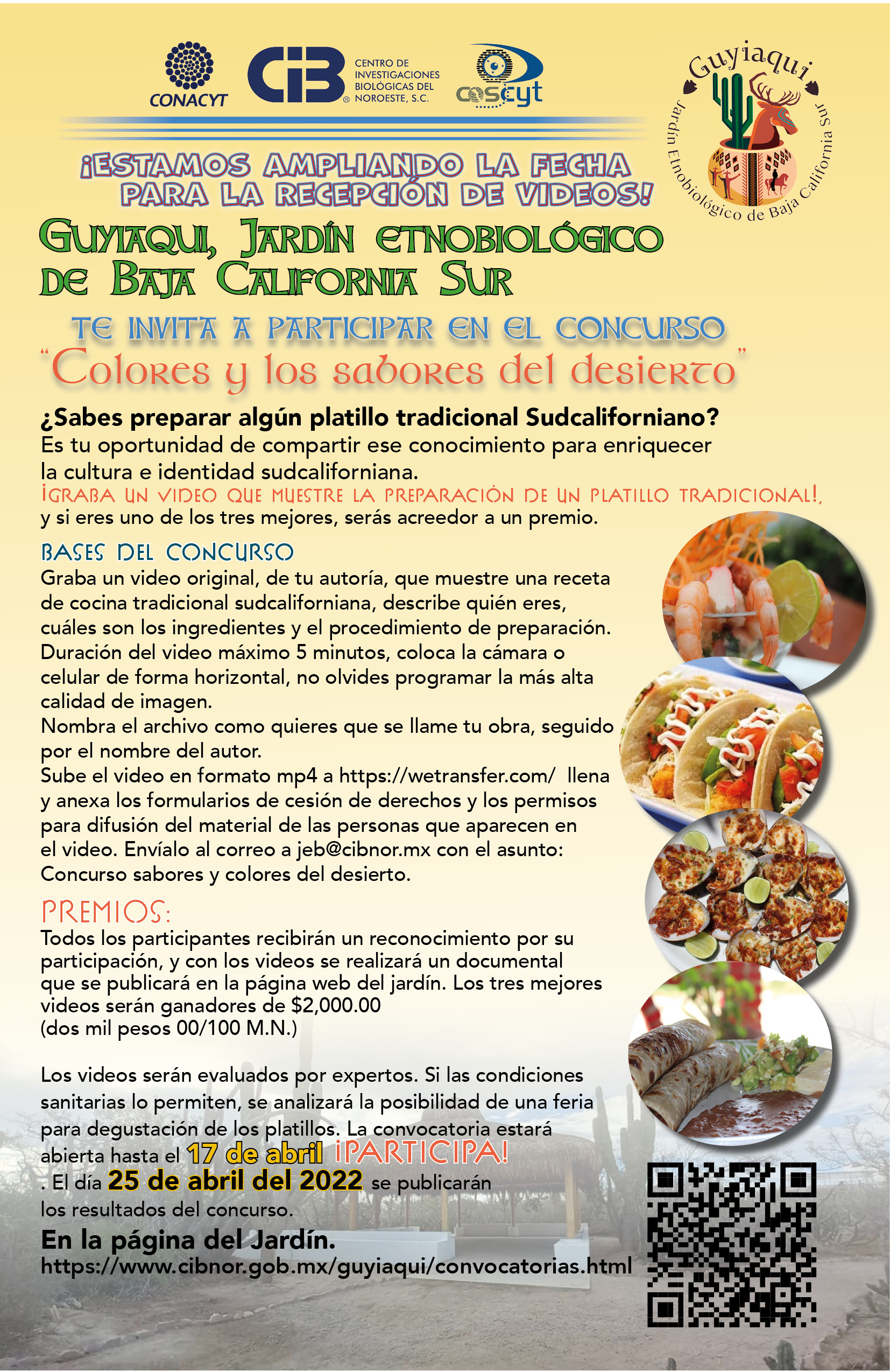 cartel convocatoria 4 colores y sabores del desierto