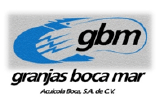 gbm