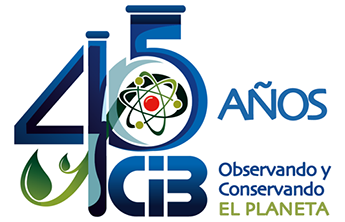 Logo aniversario