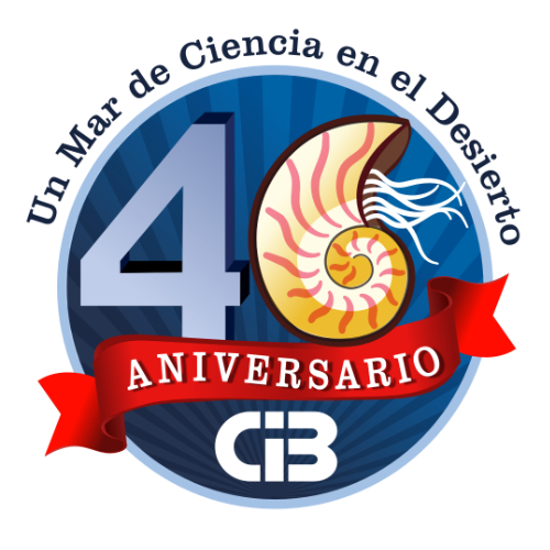 Logo aniversario