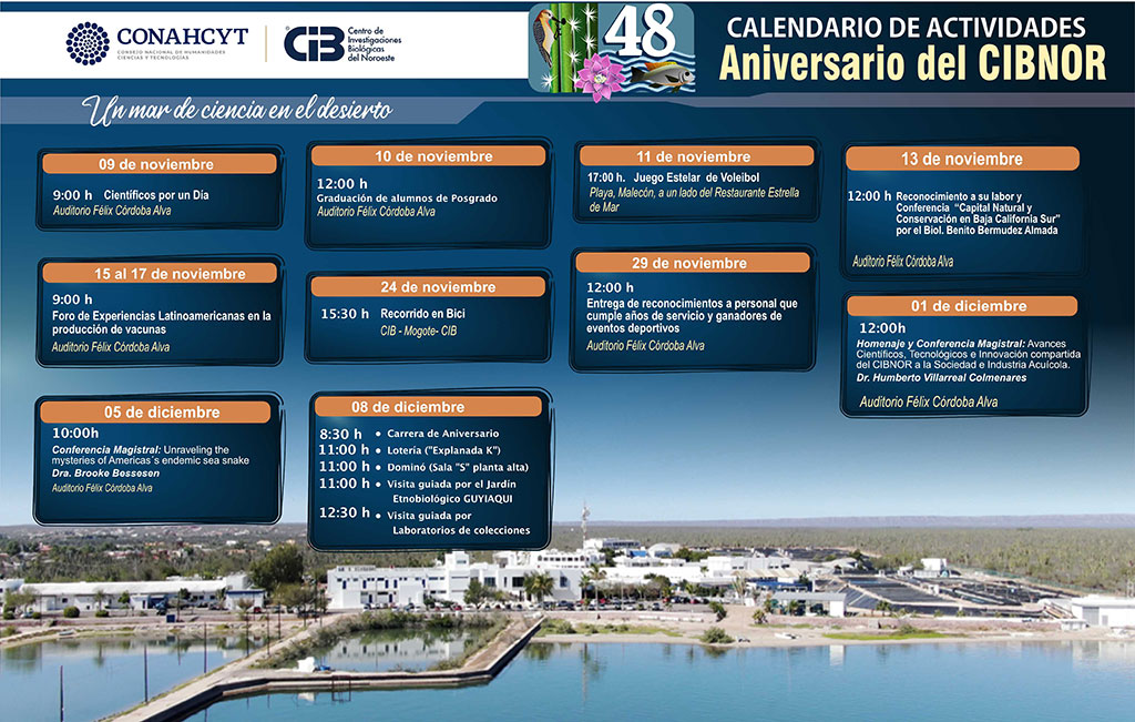 Calendario actividades