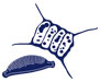 microalgas small logo