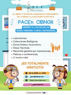 img visitas
