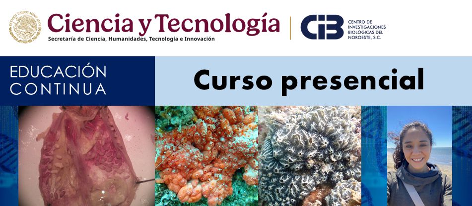 cintillo curso Morfologia e Identificacion de Ascidias 2025