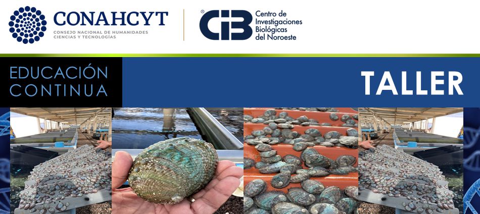 cintillo Taller Herramientas Analisis Bioeconomico Unidades Pesqueras 2024