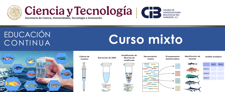 Ejemplo de Imagen a mostrar en encabezado