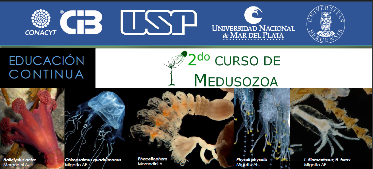 img cintillo Curso Medusozoa 20180702